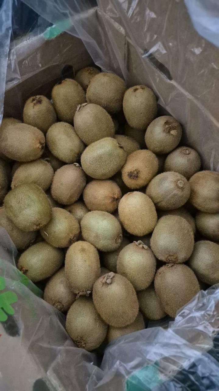 Kiwi